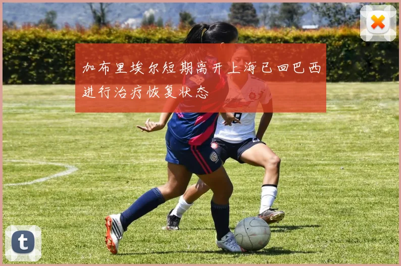 加布里埃尔短期离开上海已回巴西进行治疗恢复状态