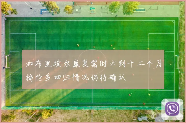 加布里埃尔康复需时六到十二个月梅伦多回归情况仍待确认