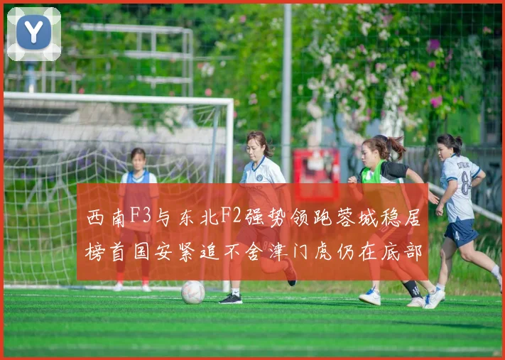 西南F3与东北F2强势领跑蓉城稳居榜首国安紧追不舍津门虎仍在底部挣扎