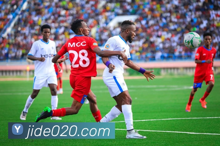 星空平台生态图